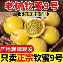 甜钦蜜9号蜂蜜黄金百香果黄皮整箱鲜果当季新鲜水果包邮厂家混批