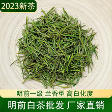 2023新茶明前白茶浙江毛峰白叶茶兰香型高白化度500g散装绿茶批发