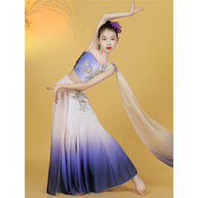 新款傣族舞蹈服装儿童女西双版纳少儿艺考剧目裙女童傣族舞演出服