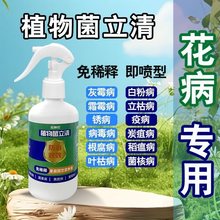 植物菌立清杀菌剂通用型免稀释家庭园艺营养液微生物菌剂养花肥料