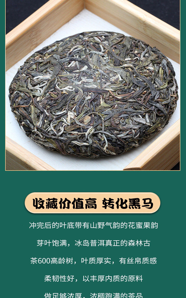 云南茶厂16年春料云南冰岛普洱茶生茶饼送礼百年古树普洱生茶叶