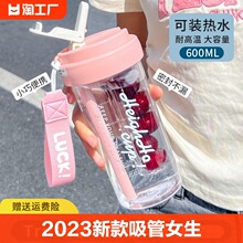 2023新款茶隔水杯吸管杯女生高颜值夏季水壶便携式耐高温塑料杯子