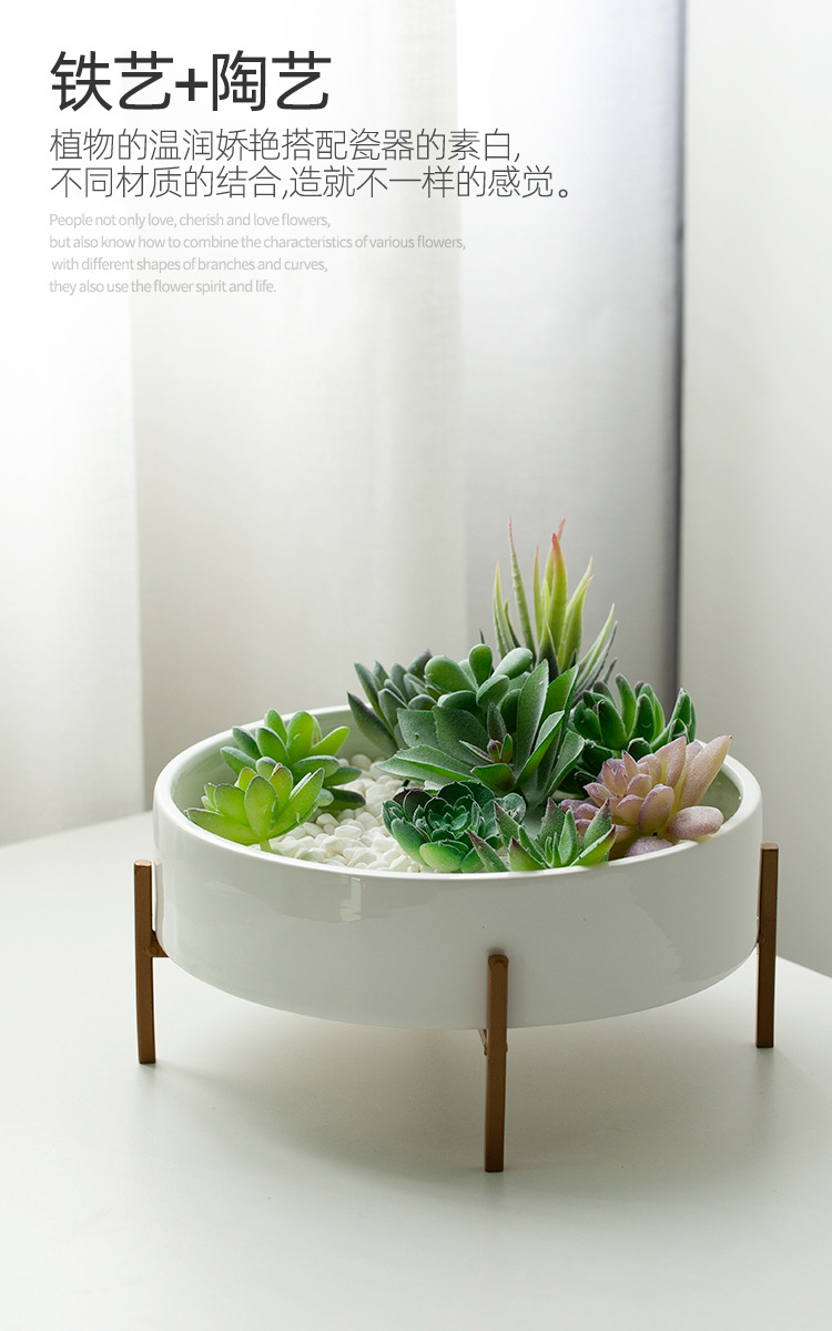 北美,东北亚主要下游平台ebay,亚马逊,wish,速卖通颜色承远多肉盆