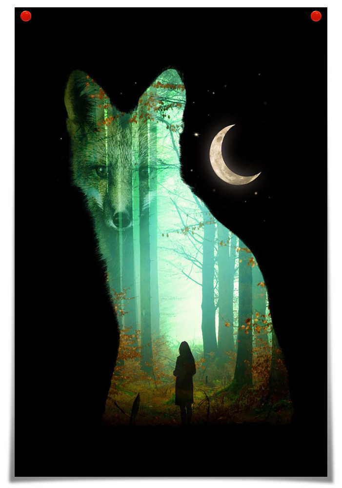 跨境货源亚马逊 wish 油画艺术动物狐狸海报客厅的墙壁图片帆布画