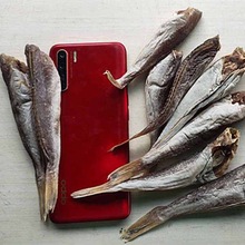 小鱼干干货 野生小干鱼 山东微山湖特产淡水毛刀鱼25