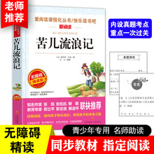 苦儿流浪记捣蛋鬼日记会走路的大树柳林风声下次开船港大林和小林