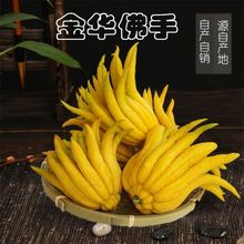 金华食用佛手果佛手柑佛手瓜佛手香橼清供观赏把玩闻香