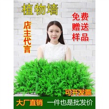 真植物墙绿植人造草坪草皮客厅塑料假花门头阳台背景墙面装饰草