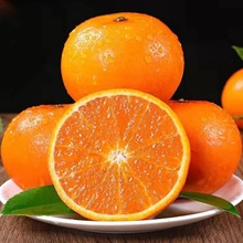 云南沃柑纯甜新鲜水果橘子椪柑芦柑砂糖蜜橘批发源头工厂一件批发