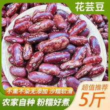 44年新豆大饭豆红四季豆红芸豆紫花芸豆批发云南特产花腰豆花豆