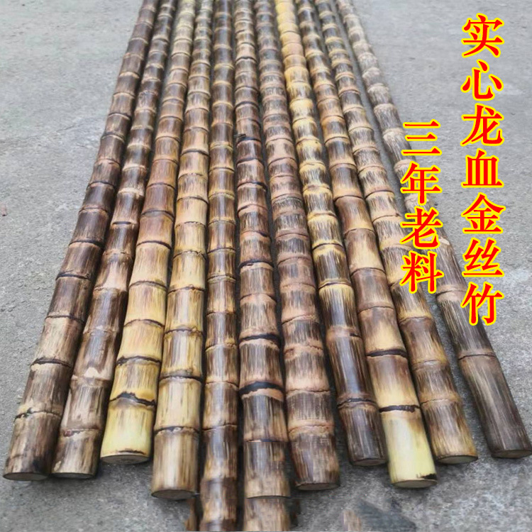 【3年老料】龙血金丝竹实心竹子手把件手串原料藤条教鞭戒尺竹竿