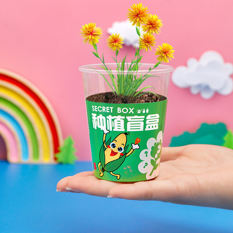 Kindergarten Planting Pot Blind Box Children's Plant Flower Seed Small Gift Creative Desktop Decoration Small Pot Plant