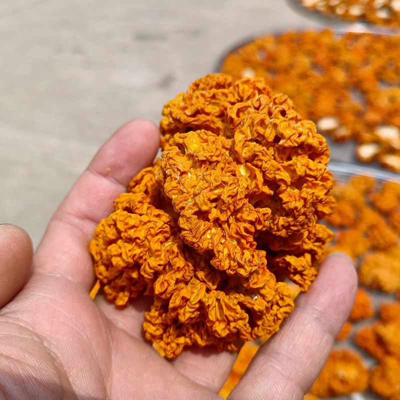 干金耳新货云南金耳2斤 干货金耳菌批发 木耳黄耳脑耳产地供应