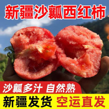 陌好味新疆普罗旺斯西红柿 番茄4.5斤中果正宗沙瓤生吃自然成熟新