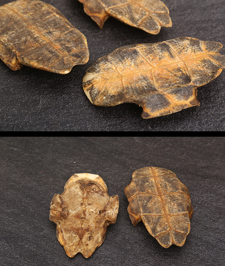 现货供应中药材制龟板 醋龟板龟甲龟板片 可磨粉中药材炙龟板