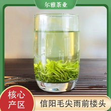 信阳毛尖2024新茶茶叶雨前高山一芽一叶浓香型绿茶500g礼盒罐装