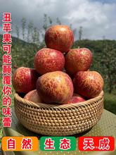 云南昭通丑苹果冰糖心当季红富士新鲜水果孕妇脆甜顺丰
