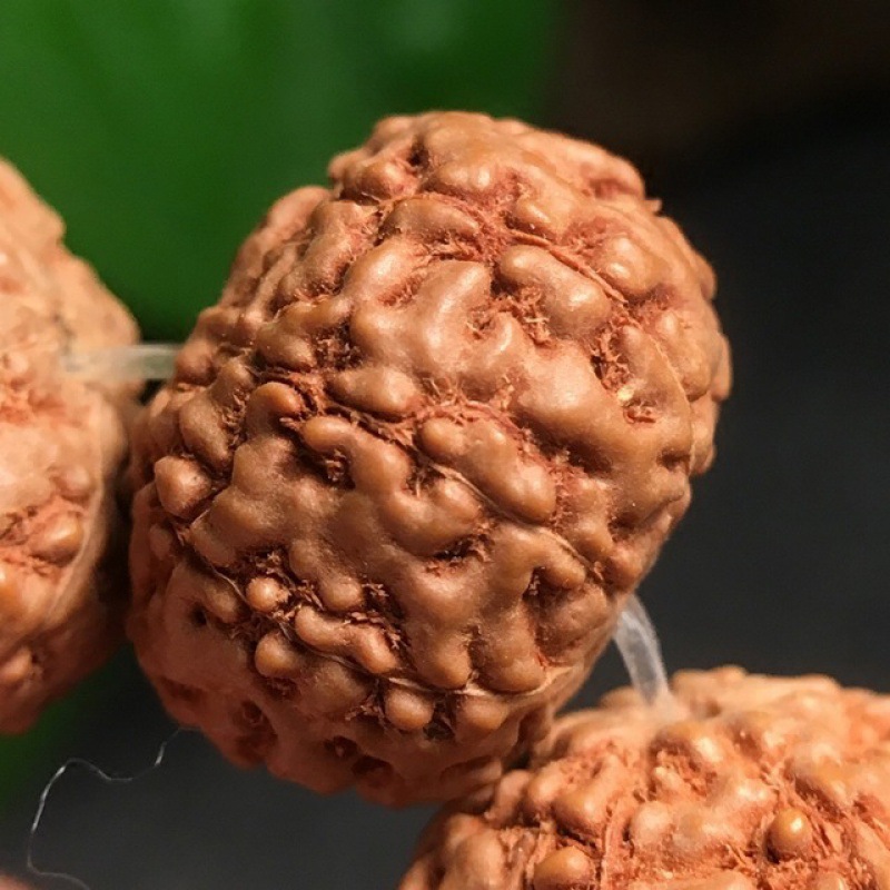 尼泊尔飞碟金刚菩提子手串男女士手链七八九十78910瓣文玩-阿里巴巴