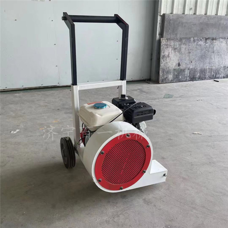 0成交1部清扫吹风机 手推式马路吹风机 树叶吹风机相似店铺>进入本