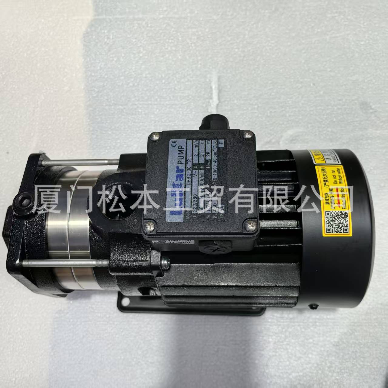 LDPB2-30-TP 抽水泵LDPB4V-30-TP 2V-90 4V-40 LDPB2V-40精雕油泵