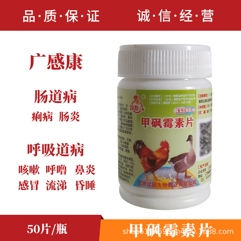 禽药 鸡鸭鹅药 兽用甲砜霉素片 呼吸道 肠道 感冒发烧细菌性感染