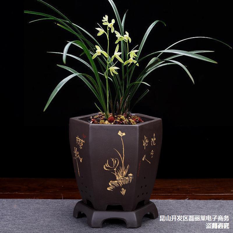 紫砂兰花专用盆陶瓷精品六方透气绿萝室内家用盆景大花盆清仓特价