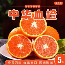 正宗湖北宜昌中华血橙秭归红橙5斤9斤应季新鲜水果手剥橙孕妇水果