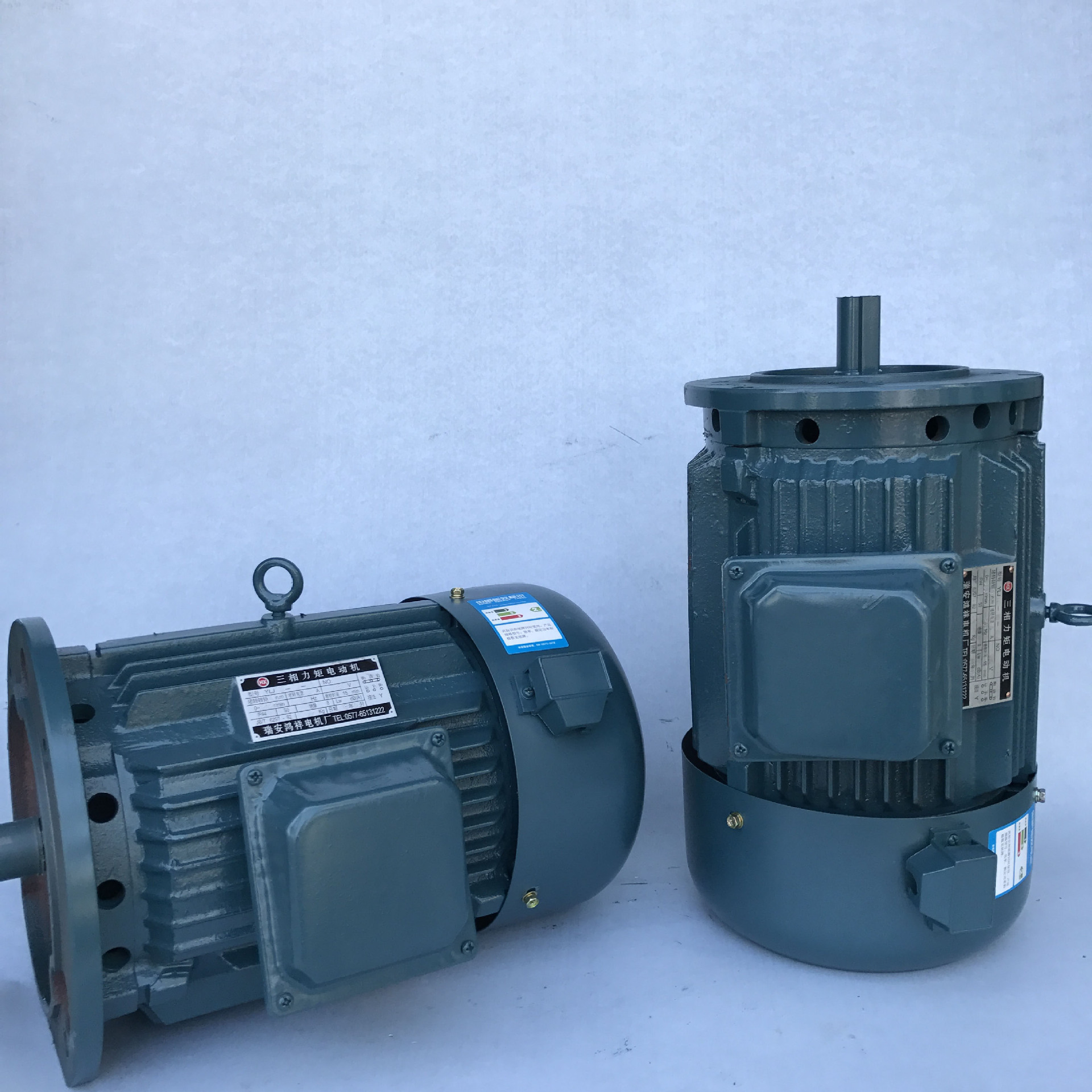 浙江瑞安鸿祥力矩电机ylj100-132系列8级立式三相电动机