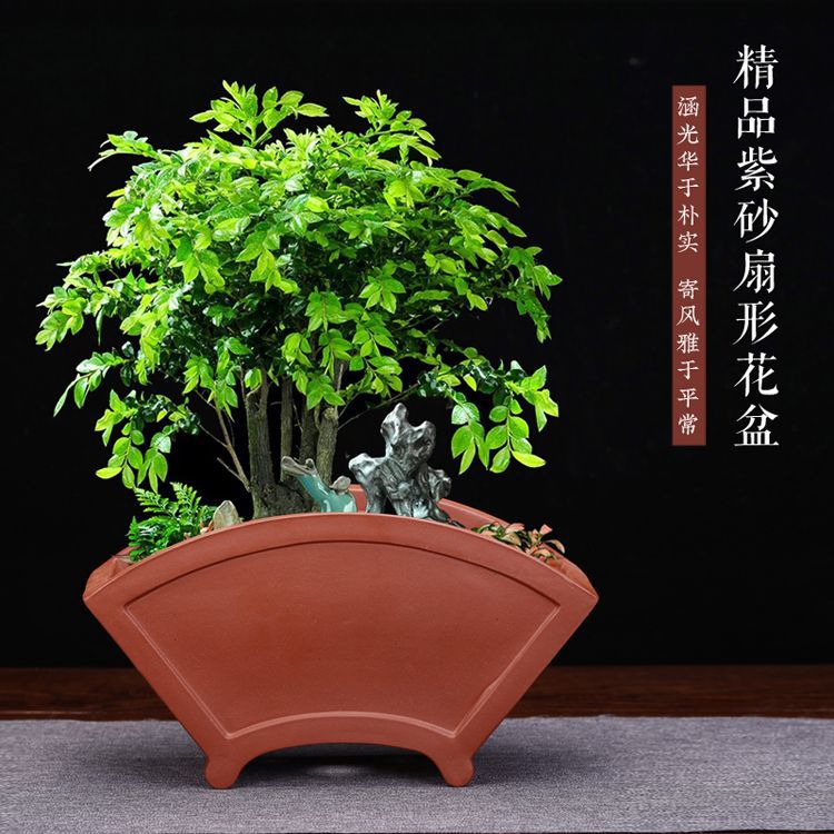 创意陶瓷紫砂兰花盆室内扇形盆景盆多肉菖蒲盆栽桌面花卉厂家批发