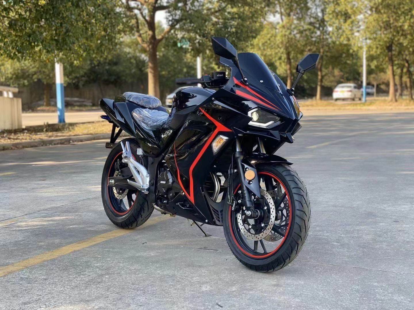 国产h2地平线摩托车机动车跑车公路趴赛汽油重机整车北京可上牌