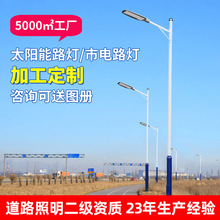 推荐定制 LED路灯头220V市电户外小区小金豆路灯新农村挑臂路灯