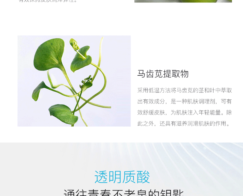 羊胎素面霜淡纹亢皱滋润紧致修护肌肤羊胎素精华保湿面霜护肤品