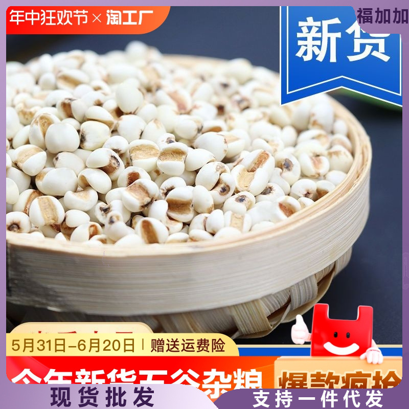 薏米仁新薏米贵州新米薏米粥农家小粒赤豆红豆杂粮粗粮薏仁散装