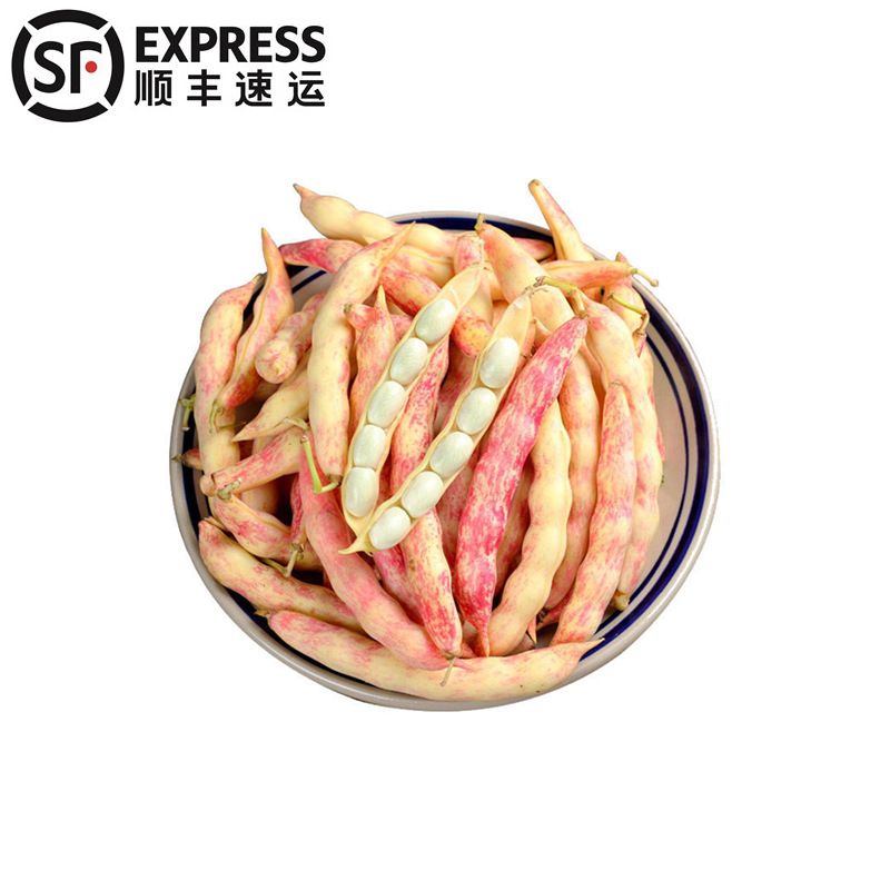 5斤顺丰起发 东北黄金勾豆角新鲜油豆角红金钩黑土地黄金钩豆角