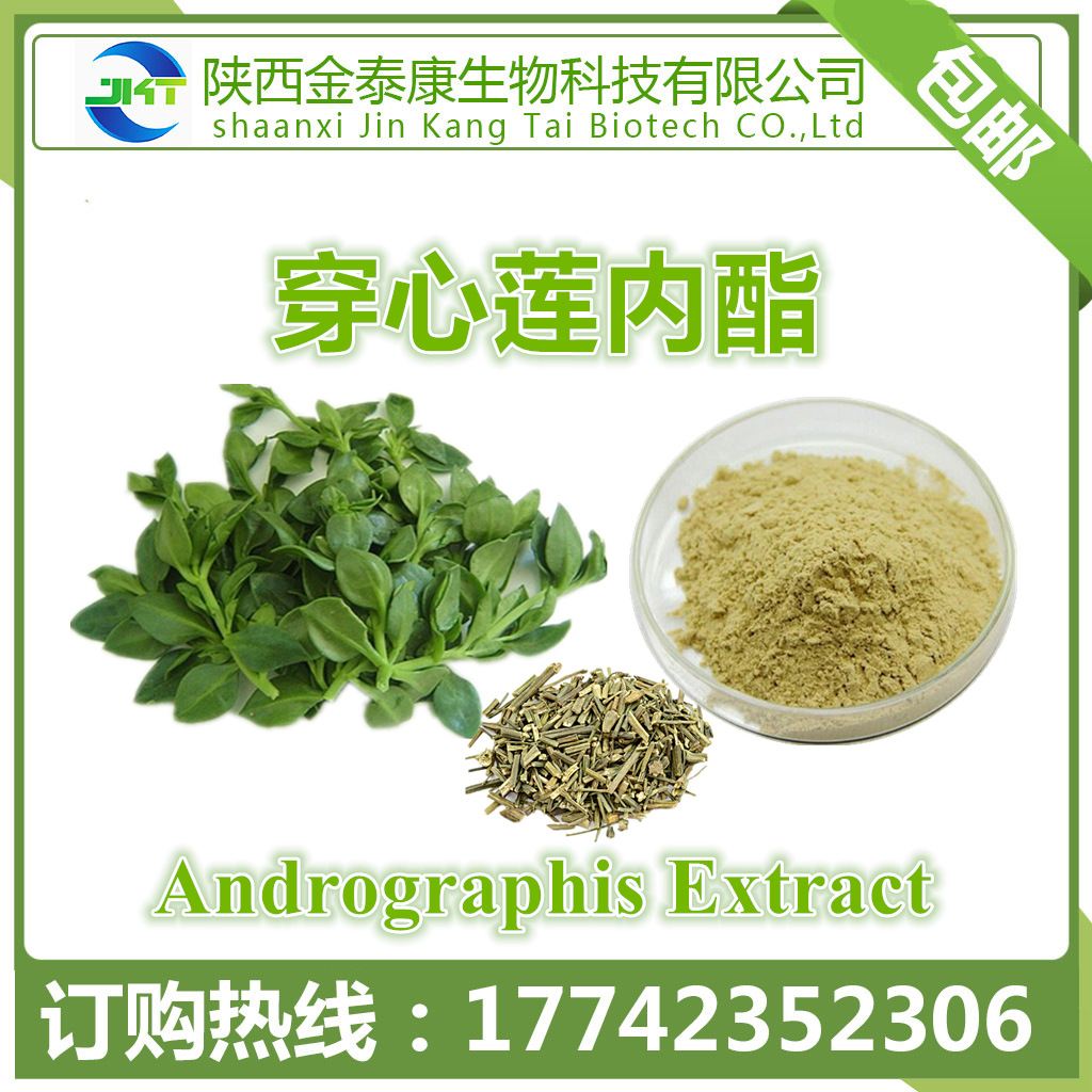 穿心莲内酯50穿心莲乙素雄茸内脂500g每袋另有超微粉