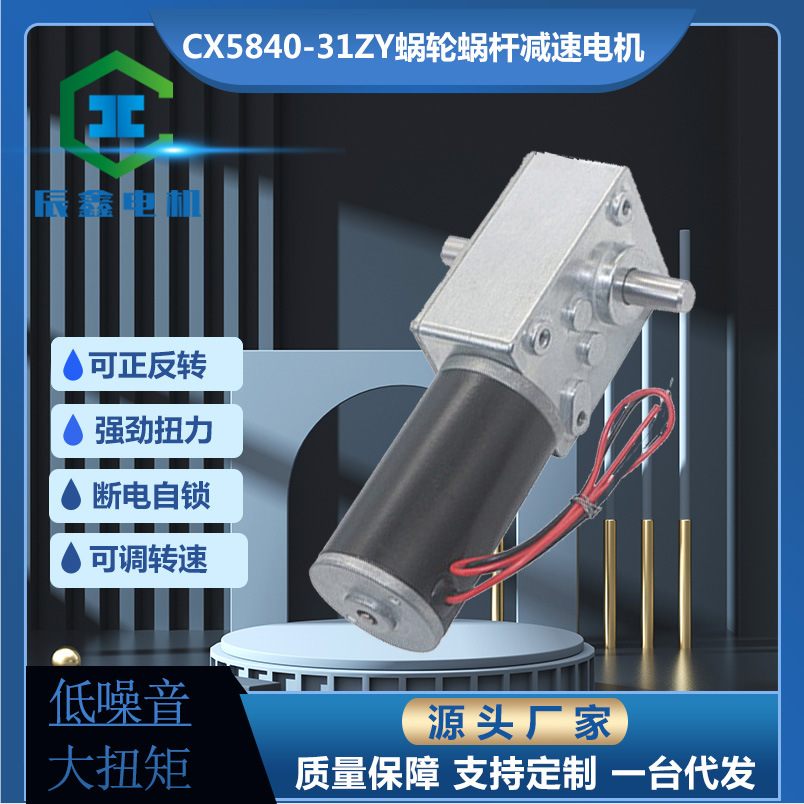 CX5840齿轮箱31ZY双出轴蜗轮蜗杆自锁售货机微型直流减速电机调速