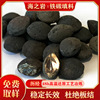 铁碳填料 印染化工制药废水处理 有效降COD脱色 微电解铁碳填料|ru 铁碳填料 印染化工制药废水处理 有效降COD脱色 微电解铁碳填料|ru
