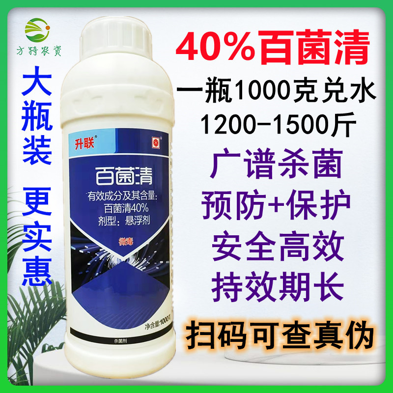 40%百菌清1000克果树蔬菜柑橘炭疽病叶斑病霜霉病锈病农药杀菌剂
