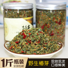 香椿芽新鲜椿芽凉拌香椿菜湖南香辣春芽菜下饭菜腌制香椿咸菜春天