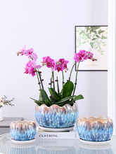 欧式造型轻奢花盆陶瓷家用室内虎皮兰蝴蝶兰专用大口径兰花高级感
