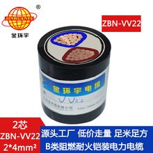 金环宇 二芯vv22电缆ZBN-VV22-2X4平方 耐火阻燃电线电缆