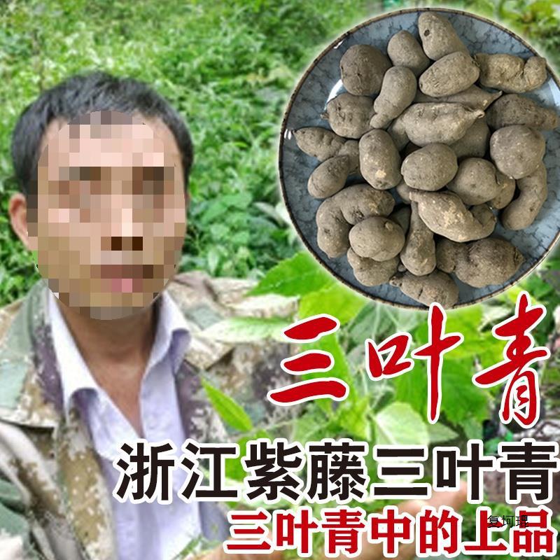 三叶青金线吊葫芦土经丸蛇附子浙江三叶青材干货 可打粉包邮-阿里巴巴