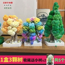 开花圣诞树魔法结晶树怀旧小时候纸上开花科学实验儿童神奇树包邮