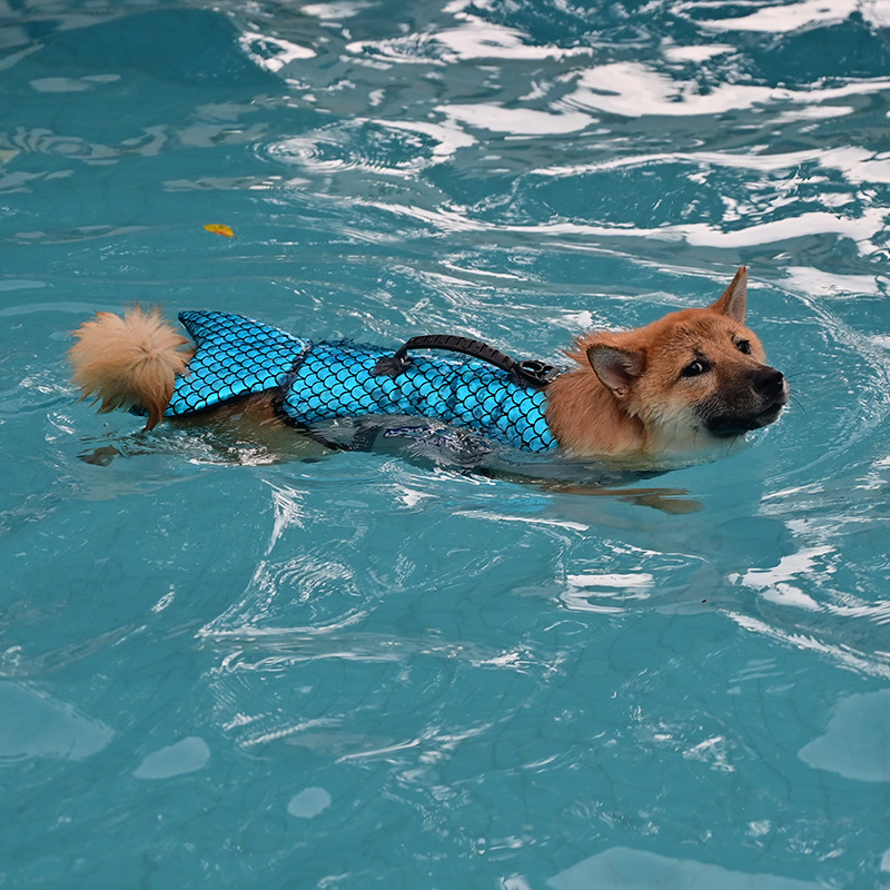 道格人鱼公主cosplay宠物救生衣狗狗游泳衣大中型狗夏天游泳服