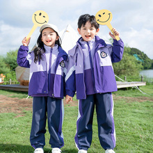 幼儿园园服套装秋冬紫色一年级班服小学生冲锋衣三合一校服三件套