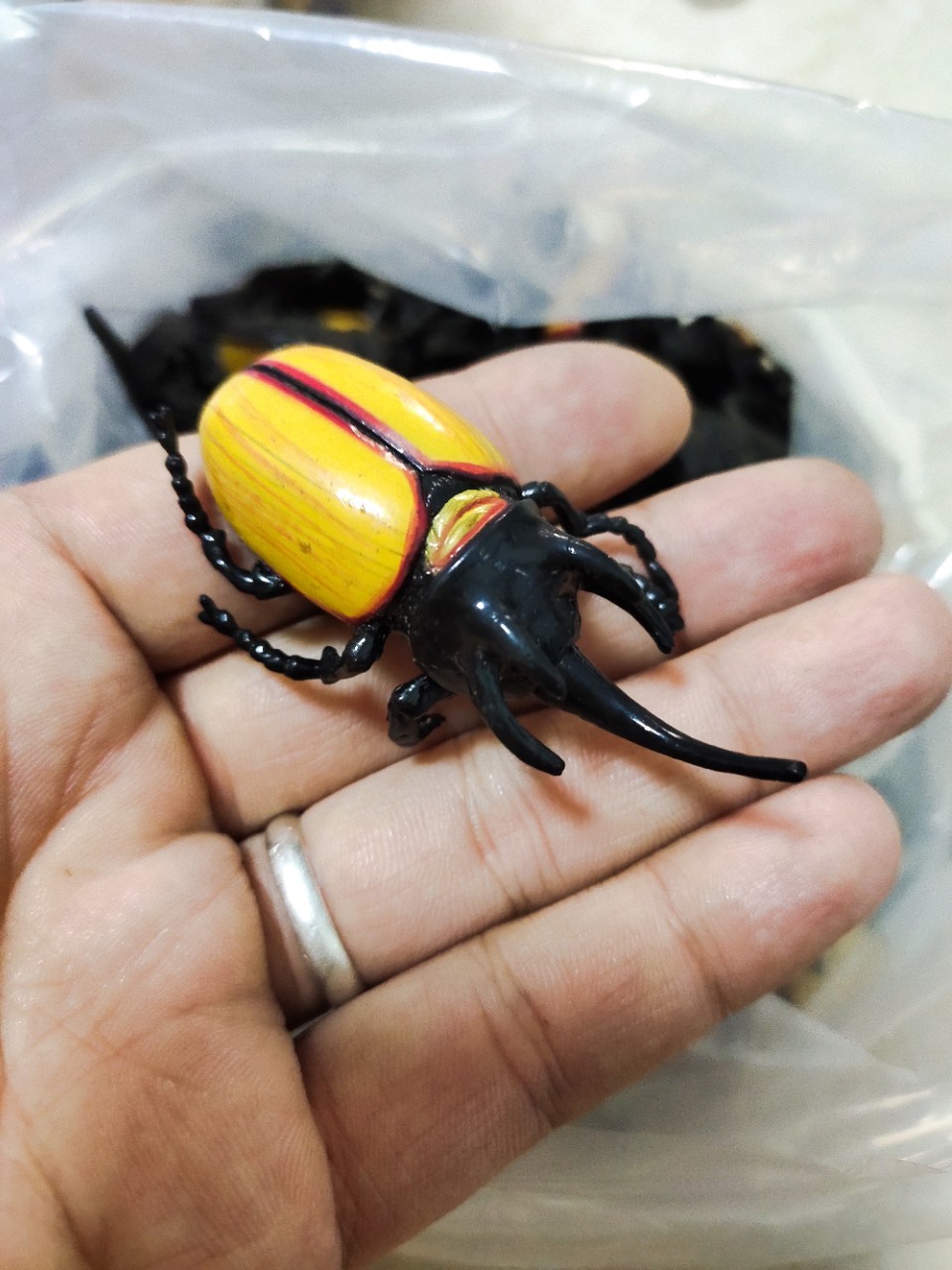 正版散货 仿真动物 昆虫 甲虫 独角仙 小号公仔玩具摆件 微景观