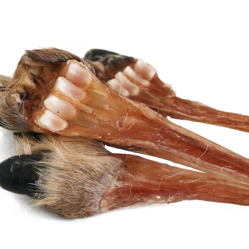 东北鹿筋鹿脚筋条去蹄干货 鹿产品泡酒料煲汤 工厂批发