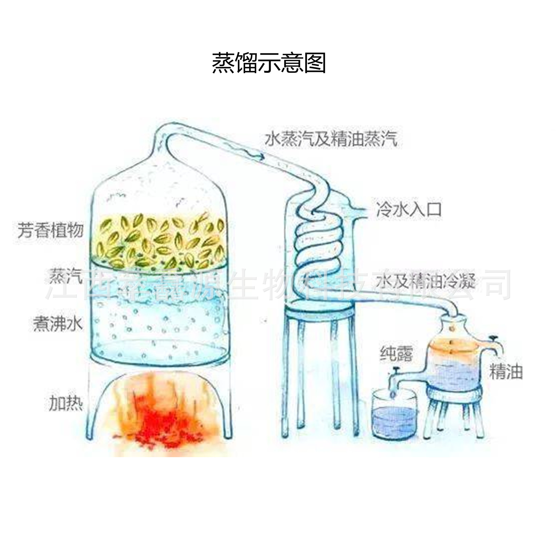 萃馫源供应蒸馏枝叶精油甜橙叶精油甜橙枝叶单方精油香薰原料精油