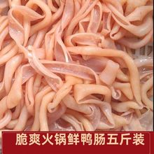 新鲜水发鸭肠生冷冻脆鸭肠免洗商用生鸭肠小串麻辣烫冒菜火锅食材