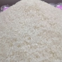 10公斤大米厂家发货晚粳米黄河水灌溉原阳大米